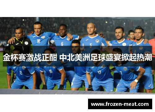 金杯赛激战正酣 中北美洲足球盛宴掀起热潮