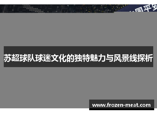 苏超球队球迷文化的独特魅力与风景线探析